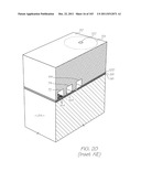 MICROFLUIDIC DEVICE WITH LARGE CHANNELS FOR CELL TRANSPORT AND SMALL     CHANNELS SUITABLE FOR BIOCHEMICAL PROCESSES diagram and image