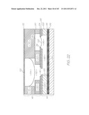 MICROFLUIDIC DEVICE WITH LARGE CHANNELS FOR CELL TRANSPORT AND SMALL     CHANNELS SUITABLE FOR BIOCHEMICAL PROCESSES diagram and image