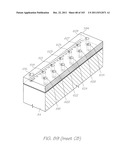 MICROFLUIDIC DEVICE WITH LARGE CHANNELS FOR CELL TRANSPORT AND SMALL     CHANNELS SUITABLE FOR BIOCHEMICAL PROCESSES diagram and image