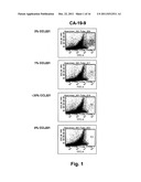 Multiplex Detection of Tumour Cells Using a Panel of Agents Binding to     Extracellular Markers diagram and image