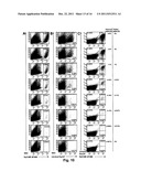 Multiplex Detection of Tumour Cells Using a Panel of Agents Binding to     Extracellular Markers diagram and image