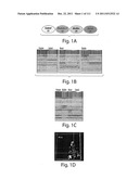 METHODS OF DETECTION OF CANCER USING PEPTIDE PROFILES diagram and image