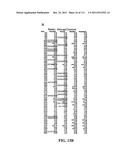 METHODS OF DETECTION OF CANCER USING PEPTIDE PROFILES diagram and image