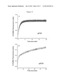 CONFORMATIONAL PROBES AND METHODS FOR SEQUENCING NUCLEIC ACIDS diagram and image