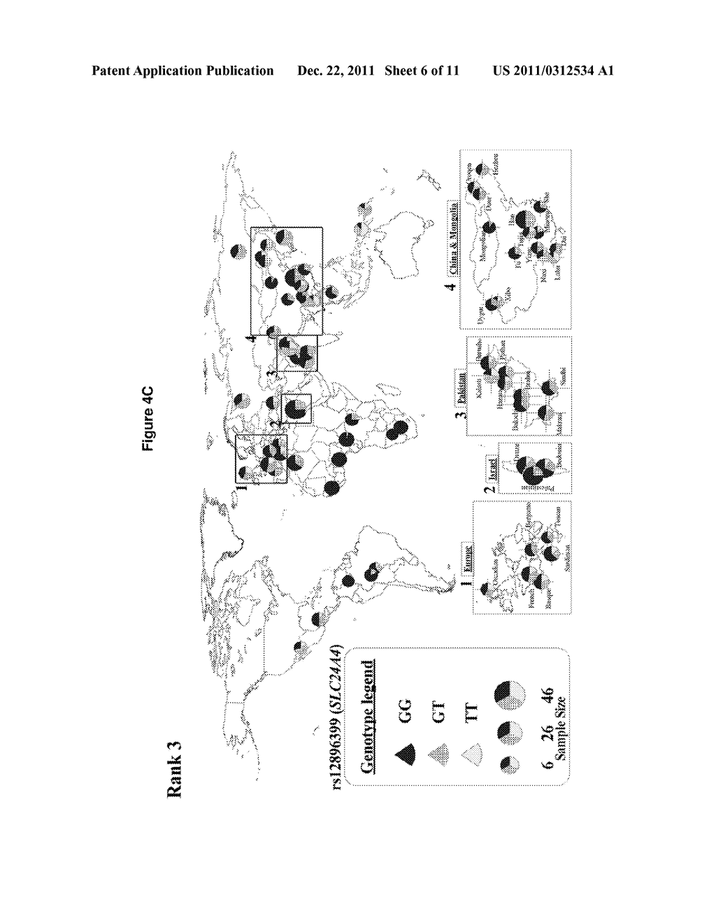 METHOD FOR PREDICTION OF HUMAN IRIS COLOR - diagram, schematic, and image 07
