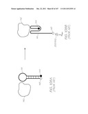 LOC DEVICE FOR DETECTING HYBRIDIZATION OF TARGET NUCLEIC ACID SEQUENCES     WITH ELECTROCHEMILUMINESCENT RESONANT ENERGY TRANSFER, PRIMER-LINKED,     STEM-AND-LOOP PROBES diagram and image