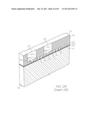 MICROFLUIDIC DEVICE WITH TRIGGER PHOTODIODE IN EACH HYBRIDIZATION CHAMBER diagram and image