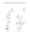 LOC DEVICE FOR PATHOGEN DETECTION WITH DIALYSIS, THERMAL LYSIS AND TANDEM     NUCLEIC ACID AMPLIFICATION diagram and image