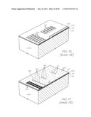 GENETIC ANALYSIS LOC FOR NUCLEIC ACID AMPLIFICATION USING A NICKING ENZYME     AND A DNA POLYMERASE diagram and image