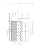 GENETIC ANALYSIS LOC FOR NUCLEIC ACID AMPLIFICATION USING A NICKING ENZYME     AND A DNA POLYMERASE diagram and image