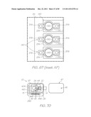 GENETIC ANALYSIS LOC FOR NON-SPECIFIC NUCLEIC ACID AMPLIFICATION PRIOR TO     SPECIFIC AMPLIFICATION OF PARTICULAR SEQUENCES diagram and image