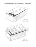 MICROFLUIDIC DEVICE WITH PARALLEL DNA AND RNA AMPLIFICATION SECTION diagram and image