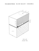 MICROFLUIDIC DEVICE WITH PARALLEL DNA AND RNA AMPLIFICATION SECTION diagram and image