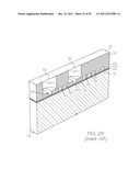 MICROFLUIDIC DEVICE WITH PARALLEL DNA AND RNA AMPLIFICATION SECTION diagram and image