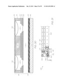 MICROFLUIDIC DEVICE WITH PARALLEL DNA AND RNA AMPLIFICATION SECTION diagram and image