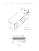 MICROFLUIDIC DEVICE WITH PARALLEL DNA AND RNA AMPLIFICATION SECTION diagram and image