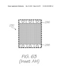 MICROFLUIDIC DEVICE WITH PARALLEL DNA AND RNA AMPLIFICATION SECTION diagram and image