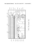 MICROFLUIDIC DEVICE WITH PARALLEL DNA AND RNA AMPLIFICATION SECTION diagram and image