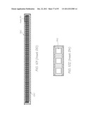 MICROFLUIDIC DEVICE WITH PARALLEL DNA AND RNA AMPLIFICATION SECTION diagram and image