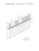 MICROFLUIDIC DEVICE WITH MIXING SECTION diagram and image