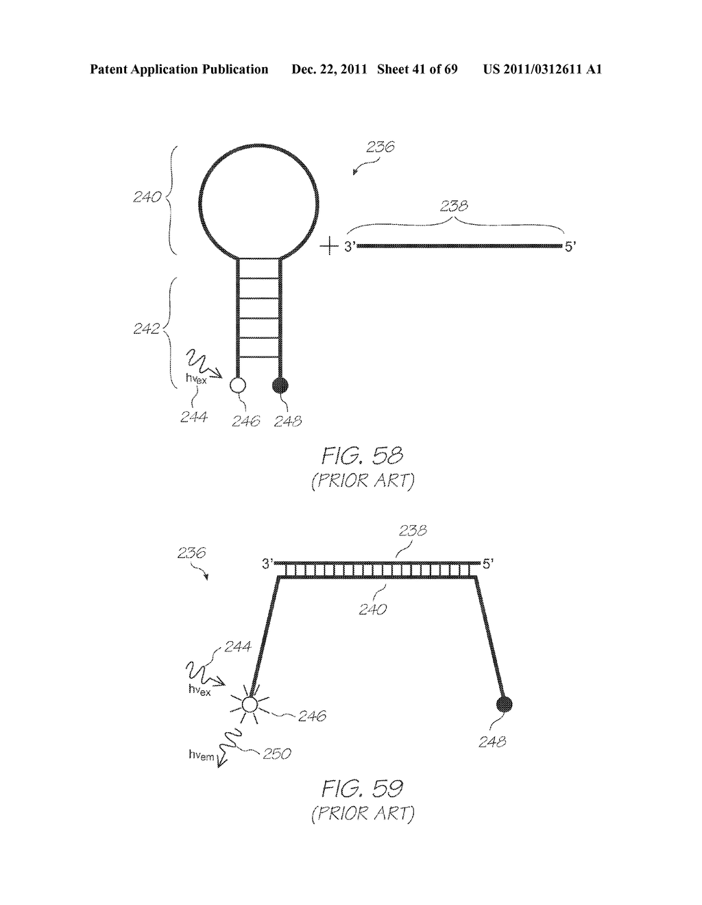 TEST MODULE WITH TRANSITION METAL-LIGAND COMPLEX FLUOROPHORE - diagram, schematic, and image 42