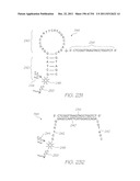 MICROFLUIDIC DEVICE WITH LOW-VOLUME HYBRIDIZATION CHAMBERS FOR     ELECTROCHEMILUMINESCENT DETECTION OF TARGET SEQUENCES diagram and image