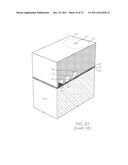 LOC DEVICE FOR PATHOGEN DETECTION AND GENETIC ANALYSIS WITH DIALYSIS AND     NUCLEIC ACID AMPLIFICATION diagram and image