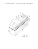 LOC DEVICE FOR PATHOGEN DETECTION AND GENETIC ANALYSIS WITH DIALYSIS AND     NUCLEIC ACID AMPLIFICATION diagram and image