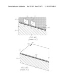 LOC DEVICE FOR PATHOGEN DETECTION AND GENETIC ANALYSIS WITH DIALYSIS AND     NUCLEIC ACID AMPLIFICATION diagram and image