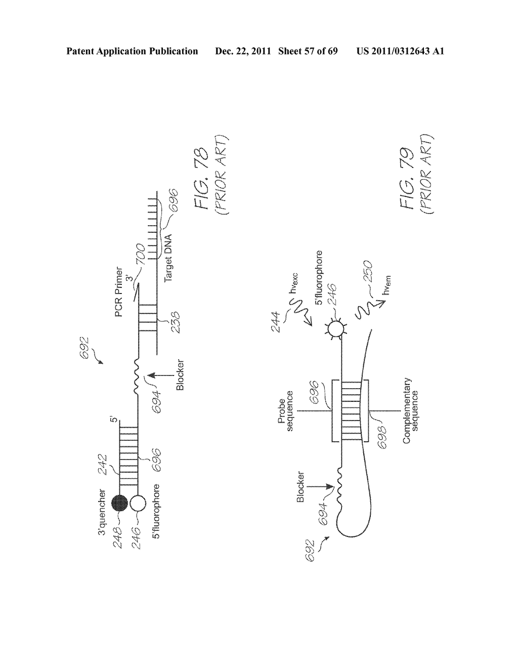 MICROFLUIDIC DEVICE FOR DETECTION OF HYBRIDIZATION OF NUCLEIC ACID TARGETS - diagram, schematic, and image 58