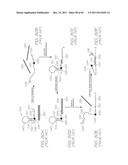 MICROFLUIDIC DEVICE FOR PCR AND PROBE HYBRIDIZATION diagram and image