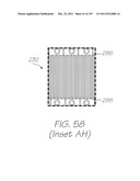 LOC DEVICE FOR DETECTING HYBRIDIZATION OF TARGET NUCLEIC ACID SEQUENCES     WITH ELECTROCHEMILUMINESCENT RESONANT ENERGY TRANSFER, PRIMER-LINKED,     LINEAR PROBES diagram and image