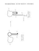 LOC DEVICE FOR DETECTING HYBRIDIZATION OF TARGET NUCLEIC ACID SEQUENCES     WITH ELECTROCHEMILUMINESCENT RESONANT ENERGY TRANSFER, PRIMER-LINKED,     LINEAR PROBES diagram and image