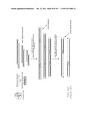 LOC DEVICE FOR PCR USING ADAPTOR PRIMERS AND TARGET DETECTION USING     ELECTROCHEMILUMINESCENT RESONANT ENERGY TRANSFER PROBES diagram and image