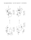 LOC DEVICE FOR PCR USING ADAPTOR PRIMERS AND TARGET DETECTION USING     ELECTROCHEMILUMINESCENT RESONANT ENERGY TRANSFER PROBES diagram and image