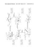 LOC DEVICE FOR GENETIC ANALYSIS WITH DIALYSIS, INCUBATION, AND NUCLEIC     ACID AMPLIFICATION diagram and image