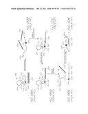 PORTABLE TEST MODULE FOR EXCITATION OF ELECTROCHEMILUMINESCENT PROBES diagram and image