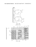 PORTABLE TEST MODULE FOR EXCITATION OF ELECTROCHEMILUMINESCENT PROBES diagram and image