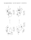 PORTABLE TEST MODULE FOR EXCITATION OF ELECTROCHEMILUMINESCENT PROBES diagram and image