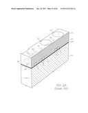 MICROFLUIDIC DEVICE WITH CONTROLLABLE SHUNTS INSIDE INTEGRATED PHOTODIODES diagram and image