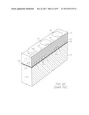 MICROFLUIDIC DEVICE WITH NUCLEIC ACID AMPLIFICATION SECTION diagram and image