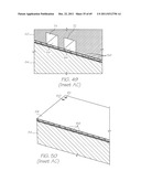 MICROFLUIDIC DEVICE WITH TOTAL REAGENT STORAGE diagram and image