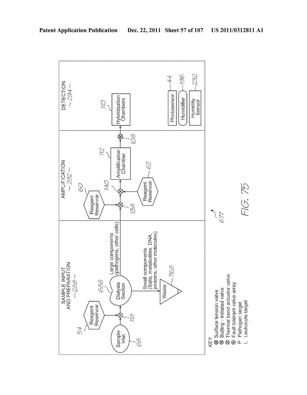 LOC DEVICE FOR ELECTROCHEMILUMINESCENT DETECTION OF TARGET SEQUENCES WITH     ELECTRODES PROFILED FOR GREATER PERIPHERAL EDGE LENGTH - diagram, schematic, and image 58