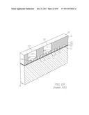 TEST MODULE WITH LASER FOR EXCITATION OF OLIGONUCLEOUTIDE PROBES diagram and image