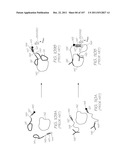 GENETIC ANALYSIS LOC DEVICE FOR DETECTION OF TARGET SEQUENCES WITH     ELECTROCHEMILUMINESCENT LUMINOPHORE AND FUNCTIONAL MOIETY FOR QUENCHING     PHOTON EMISSIONS diagram and image