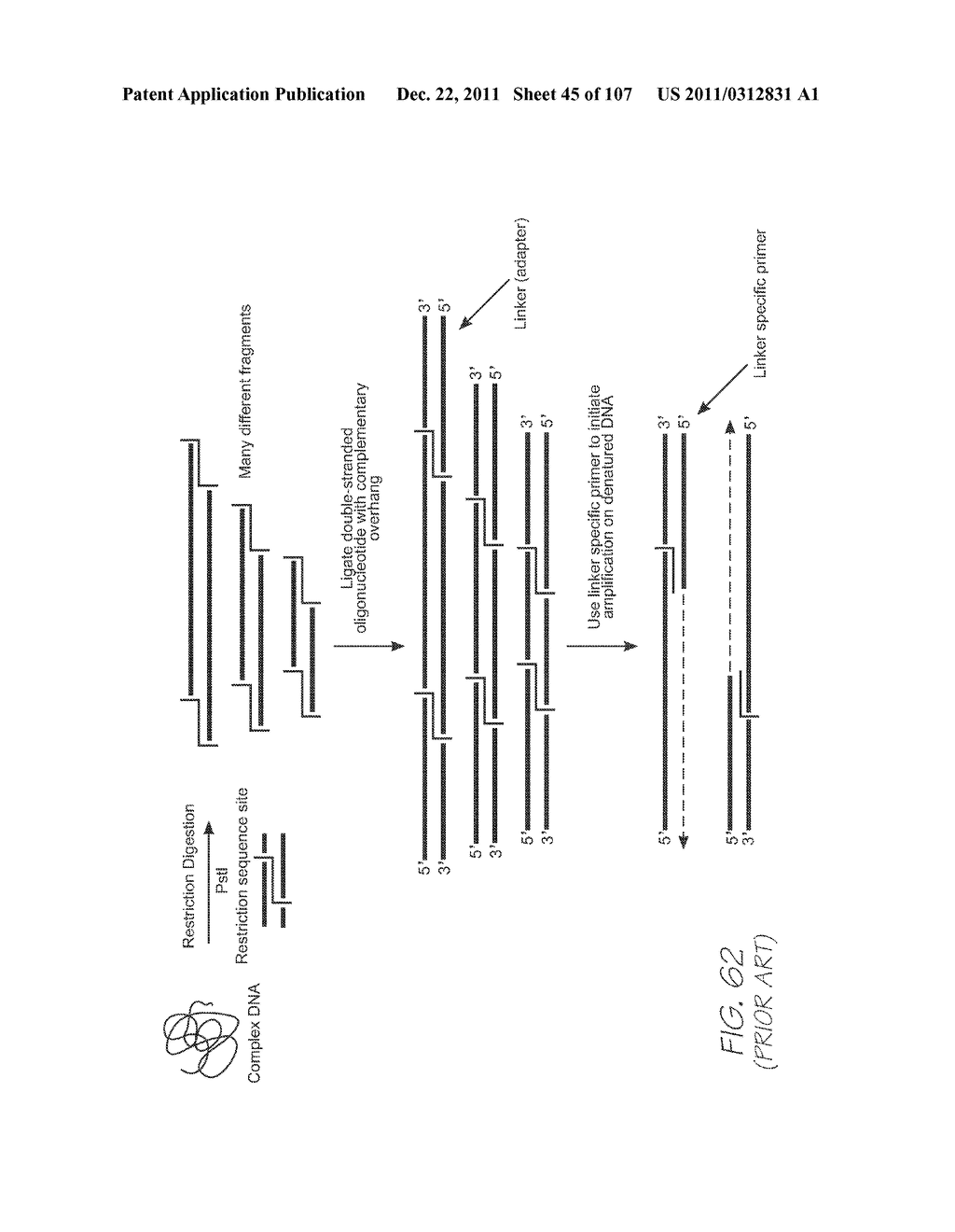 LOC DEVICE FOR DETECTING TARGET NUCLEIC ACID SEQUENCE WITH     ELECTROCHEMILUMINESCENT METALORGANIC COMPLEX - diagram, schematic, and image 46