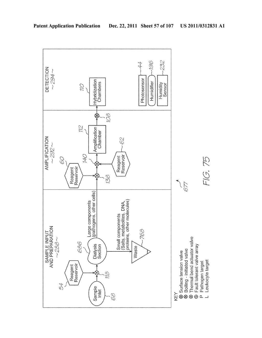 LOC DEVICE FOR DETECTING TARGET NUCLEIC ACID SEQUENCE WITH     ELECTROCHEMILUMINESCENT METALORGANIC COMPLEX - diagram, schematic, and image 58