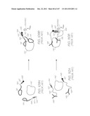 LOC DEVICE FOR DETECTING TARGET NUCLEIC ACID SEQUENCE WITH     ELECTROCHEMILUMINESCENT METALORGANIC COMPLEX diagram and image