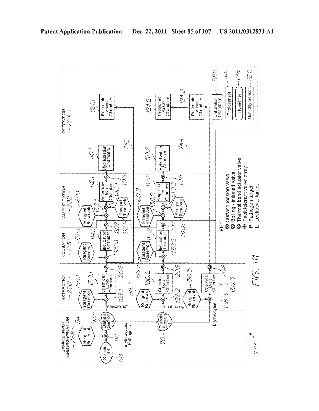 LOC DEVICE FOR DETECTING TARGET NUCLEIC ACID SEQUENCE WITH     ELECTROCHEMILUMINESCENT METALORGANIC COMPLEX - diagram, schematic, and image 86