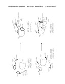 LOC DEVICE FOR DETECTION OF TARGET SEQUENCES WITH ELECTROCHEMILUMINESCENT     PROBES IN HYBRIDIZATION CHAMBERS diagram and image